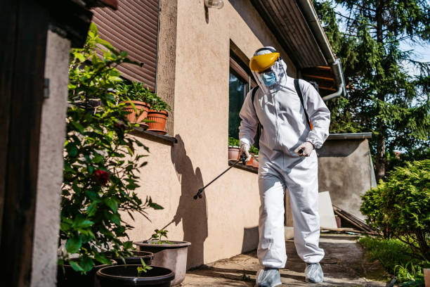 Best Affordable Pest Control Services  in Bratenahl, OH
