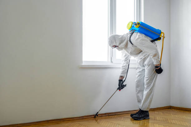 Best Exterminator Services  in Bratenahl, OH