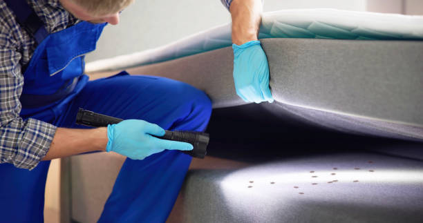 Best Residential Pest Control  in Bratenahl, OH
