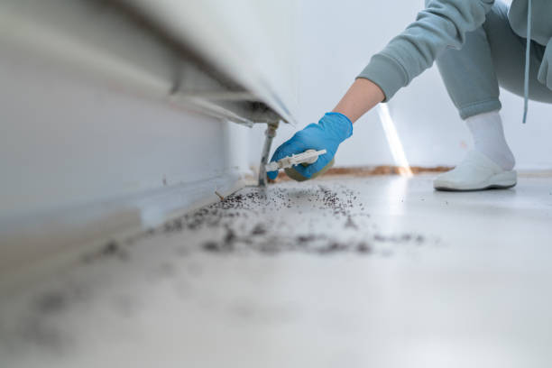 Best Bed Bug Extermination  in Bratenahl, OH